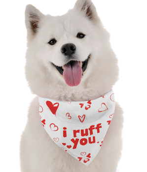 Bandoggies Dog Bandana - I Ruff You