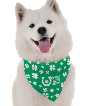 Bandoggies Dog Bandana - I'm Your Lucky Charm