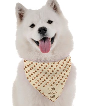 Bandoggies Dog Bandana - Little Matzah Ball