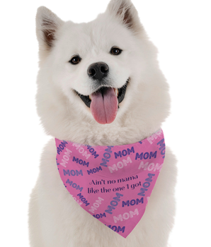 Bandoggies Dog Bandana - Ain't no Momma Like the One I Got