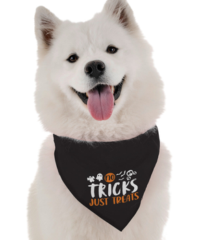 Bandoggies Dog Bandana - No Tricks, Just Treats