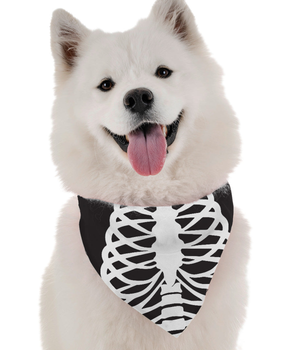 Bandoggies Dog Bandana - Skeleton Costume