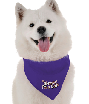 Bandoggies Dog Bandana - Meow I'm a Cat