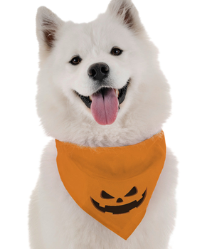 Bandoggies Dog Bandana - Jack-O-Lantern