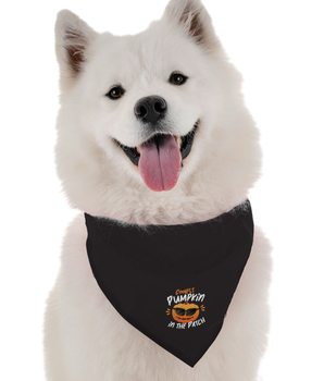 Bandoggies Dog Bandana - The Coolest Pumpkin