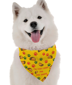 Bandoggies Dog Bandana - I'm Just Here for the Tacos