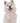 Bandoggies Dog Bandana - Candy Canes