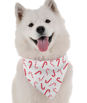 Bandoggies Dog Bandana - Candy Canes