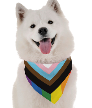 Bandoggies Dog Bandana - Progress Pride