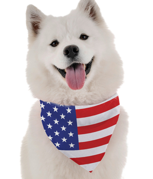 Bandoggies Dog Bandana - All American