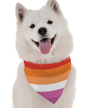 Bandoggies Dog Bandana - Lesbian Pride