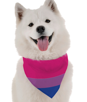 Bandoggies Dog Bandana - Bi Pride