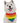 Bandoggies Dog Bandana - Pride