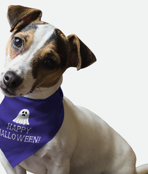 Dog Bandana - Happy Halloween!