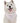 Bandoggies Dog Bandana - White Carnation