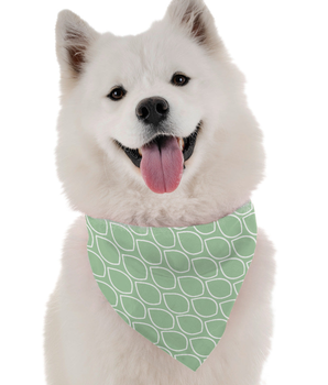 Bandoggies Dog Bandana - Mint