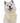 Bandoggies Dog Bandana - Sunshine