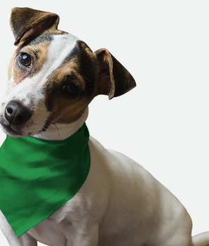 Bandoggies Dog Bandana - Green Green Grass