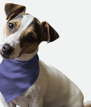 Bandoggies Dog Bandana - Lovely Lavender