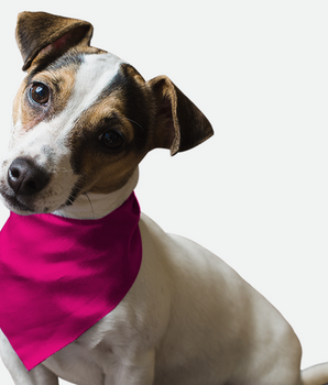 Bandoggies Dog Bandana - Neon Frisbee Pink