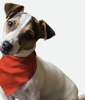 Bandoggies Dog Bandana - Fire Hydrant Red