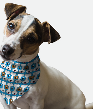 Bandoggies Dog Bandana - Peek-A-Bone