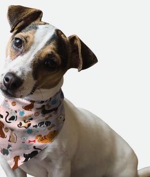 Bandoggies Dog Bandana - Play Time