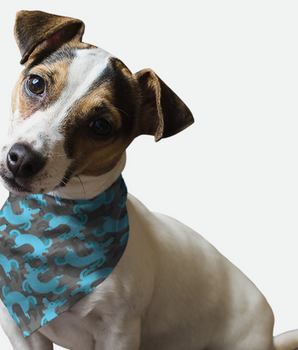 Bandoggies Dog Bandana - Go For Walk?