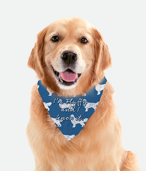 Bandoggies Dog Bandana - Face Time