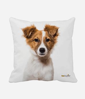 Bandoggies Dog Bandana - Australian Shepard Puppy Throw Pillow