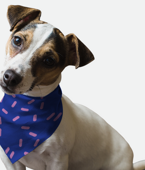 Bandoggies Dog Bandana - Sprinkles Please!