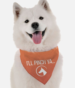 Bandoggies Dog Bandana - I'll Pinch Ya