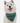 Bandoggies Dog Bandana - Insert Food Here