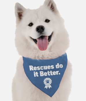 Bandoggies Dog Bandana - Rescues Do it Better