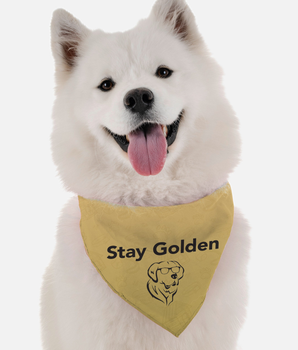 Bandoggies Dog Bandana - Stay Golden