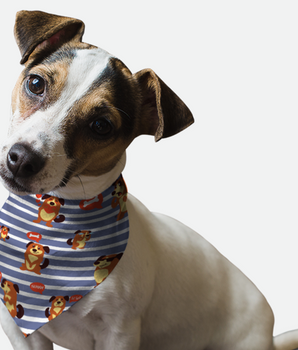 Bandoggies Dog Bandana - Summer '07