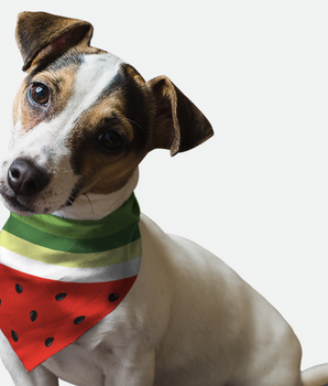 Bandoggies Dog Bandana - Sweet Slice