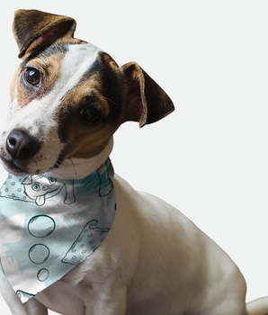 Bandoggies Dog Bandana - Tasty Treats