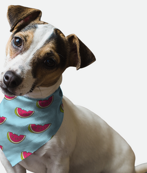 Bandoggies Dog Bandana - Summer Watermelon