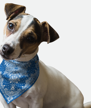 Bandoggies Dog Bandana - Blue Paisley