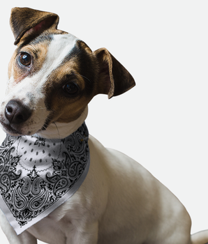 Bandoggies Dog Bandana - Grey Paisley