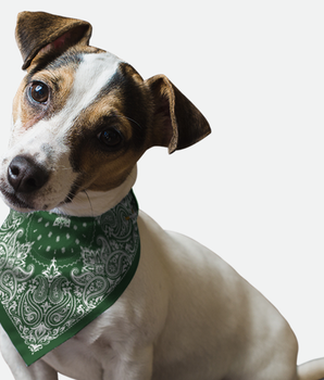 Bandoggies Dog Bandana - Hunter Green Paisley