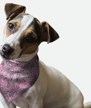 Bandoggies Dog Bandana - Lilac Paisley