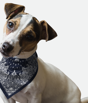 Bandoggies Dog Bandana - Navy Paisley