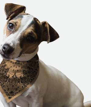 Bandoggies Dog Bandana - Sand Paisley