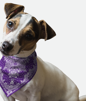 Bandoggies Dog Bandana - Violet Paisley