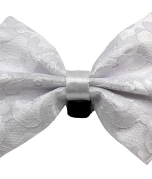 PR3002|Pets Ribbons