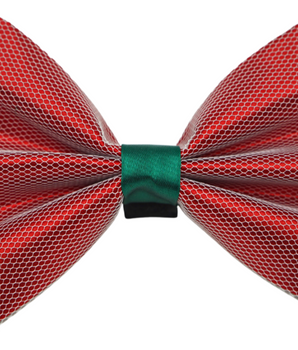 PR3004X|Pets Ribbons