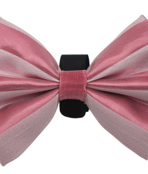 PR3006VA|Pets Ribbons