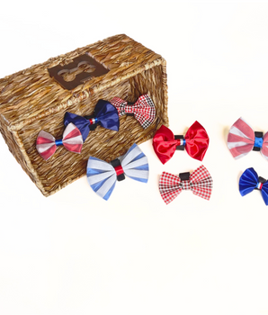 4th of July Bow Budget Bundle|Pets Ribbons